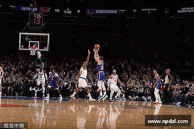 发现新葡的京集团